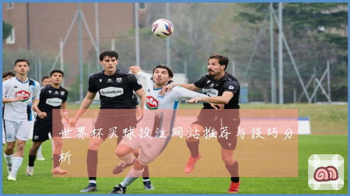 世界杯买球投注网站推荐与技巧分析
