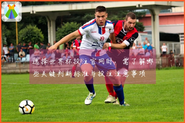 选择世界杯投注官网时，需了解哪些关键判断标准与投注注意事项