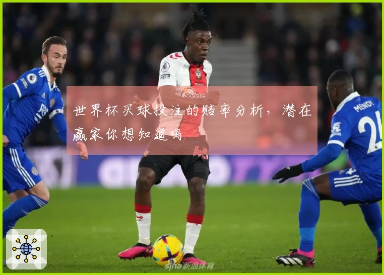 世界杯买球投注的赔率分析，潜在赢家你想知道吗