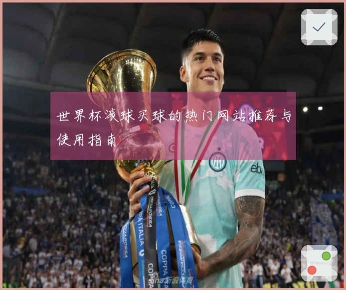 世界杯滚球买球的热门网站推荐与使用指南