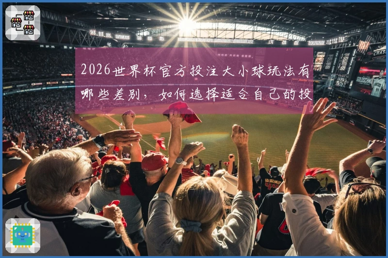 2026世界杯官方投注大小球玩法有哪些差别，如何选择适合自己的投注方式