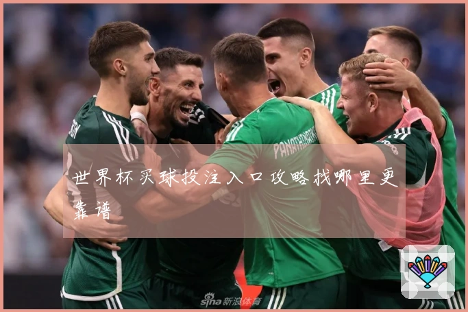 世界杯买球投注入口攻略找哪里更靠谱