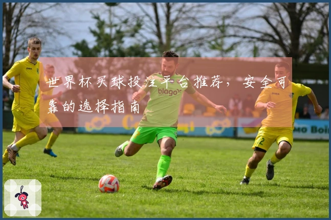 世界杯买球投注平台推荐，安全可靠的选择指南