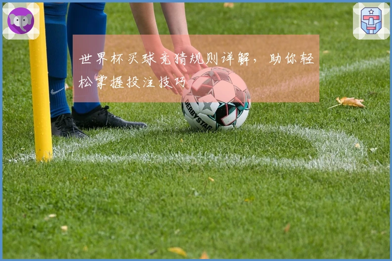 世界杯买球竞猜规则详解，助你轻松掌握投注技巧