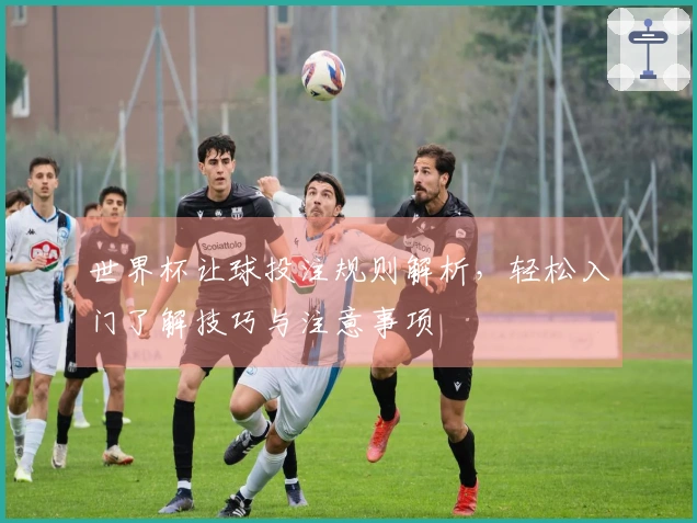 世界杯让球投注规则解析，轻松入门了解技巧与注意事项