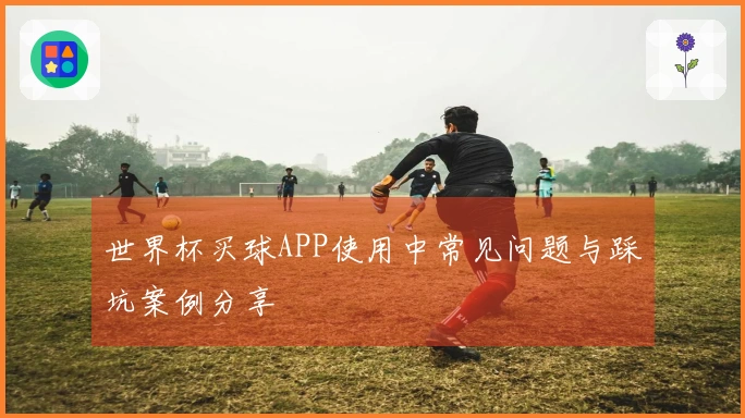 世界杯买球APP使用中常见问题与踩坑案例分享
