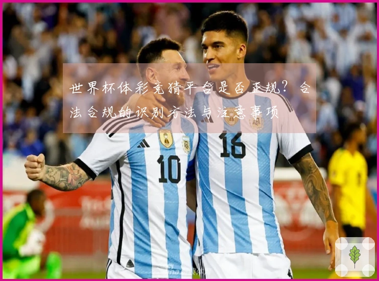 世界杯体彩竞猜平台是否正规？合法合规的识别方法与注意事项