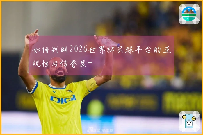 如何判断2026世界杯买球平台的正规性与信誉度-