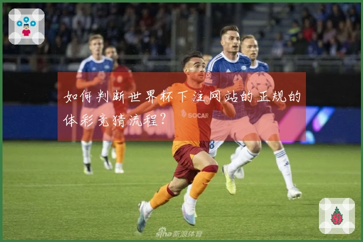 如何判断世界杯下注网站的正规的体彩竞猜流程？