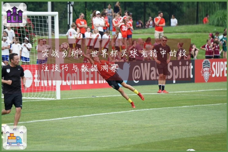 实战分析：世界杯买球竞猜中的投注技巧与数据洞察