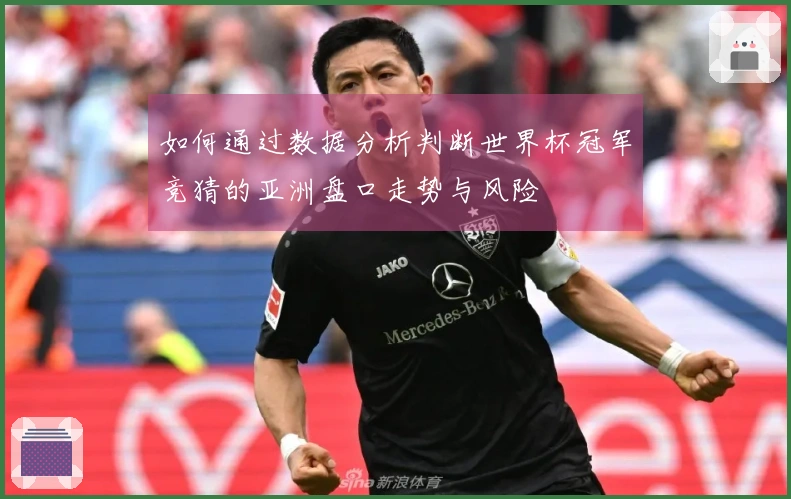 如何通过数据分析判断世界杯冠军竞猜的亚洲盘口走势与风险