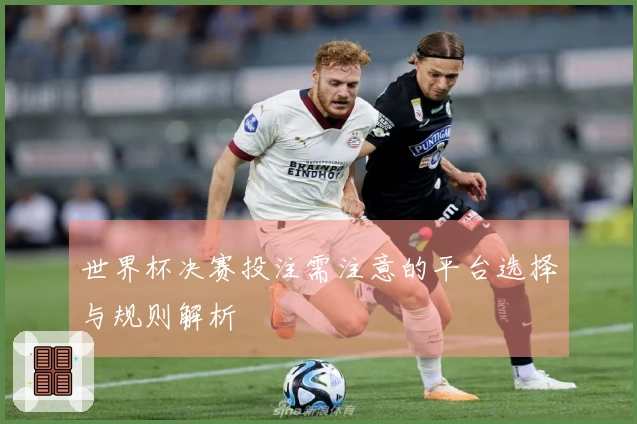 世界杯决赛投注需注意的平台选择与规则解析