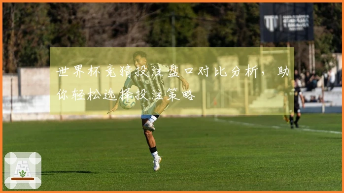 世界杯竞猜投注盘口对比分析，助你轻松选择投注策略
