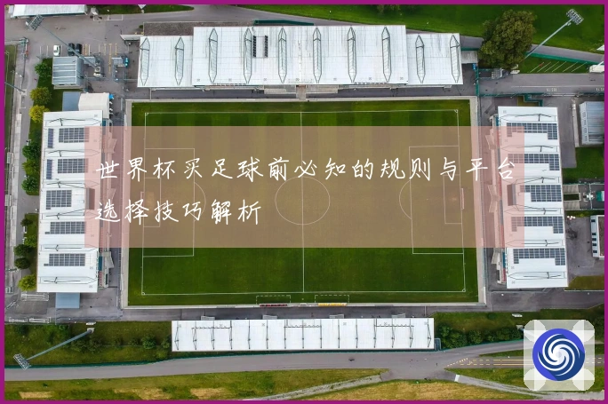 世界杯买足球前必知的规则与平台选择技巧解析