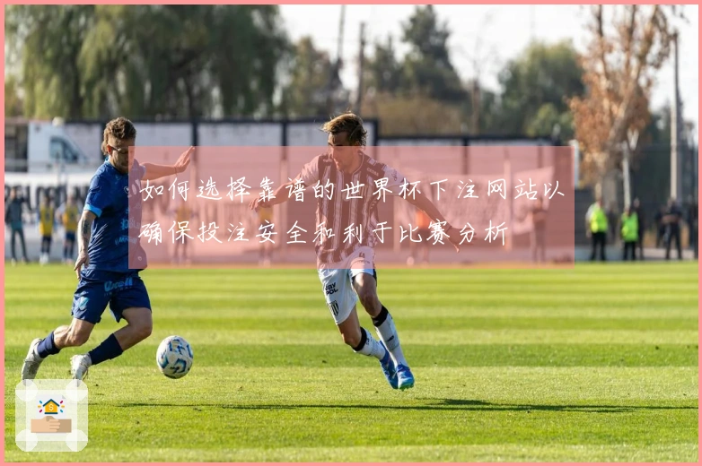 如何选择靠谱的世界杯下注网站以确保投注安全和利于比赛分析