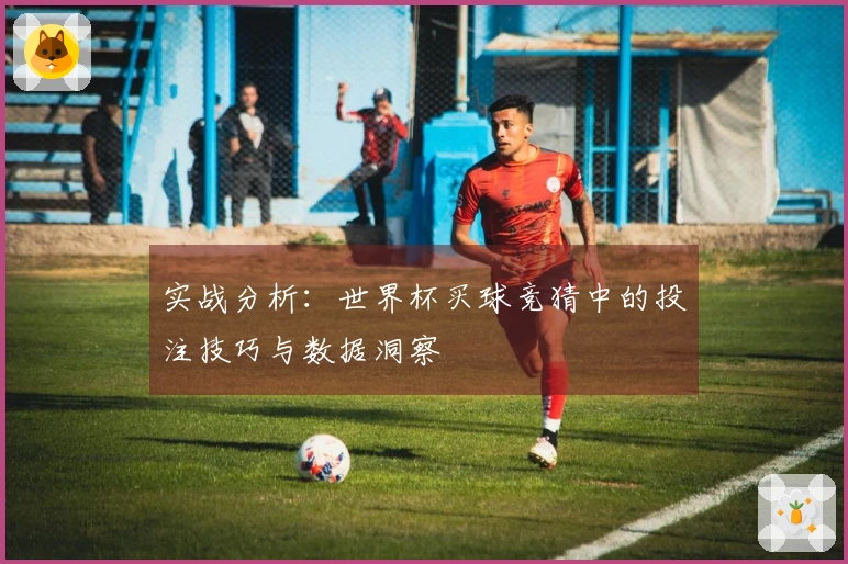 实战分析：世界杯买球竞猜中的投注技巧与数据洞察