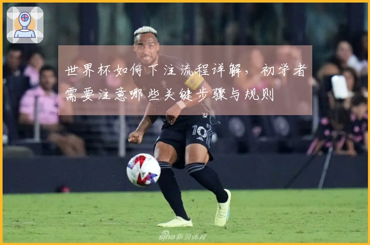 世界杯如何下注流程详解，初学者需要注意哪些关键步骤与规则