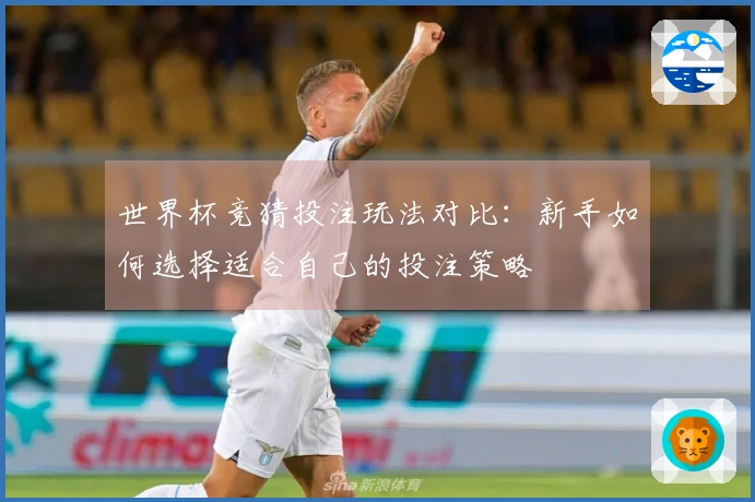 世界杯竞猜投注玩法对比：新手如何选择适合自己的投注策略