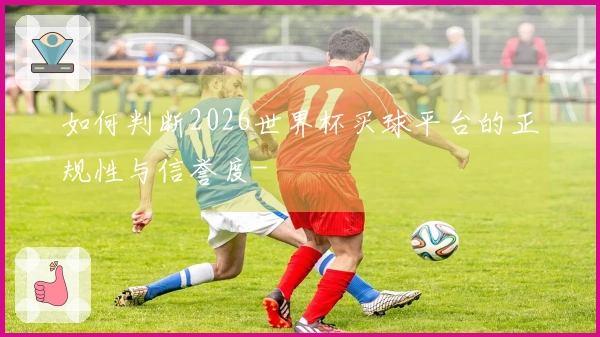 如何判断2026世界杯买球平台的正规性与信誉度-