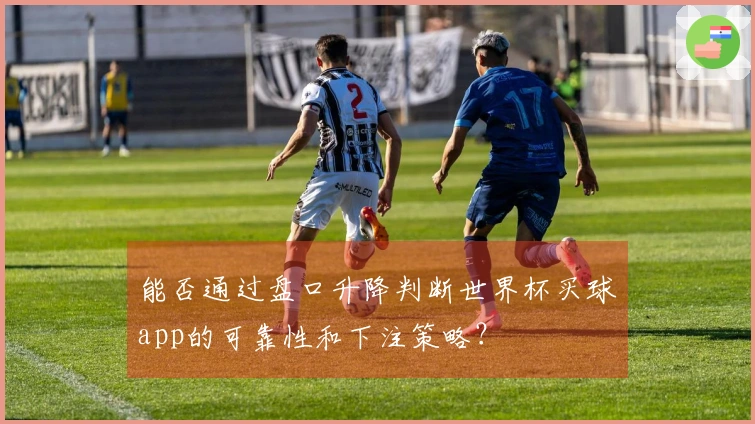 能否通过盘口升降判断世界杯买球app的可靠性和下注策略？