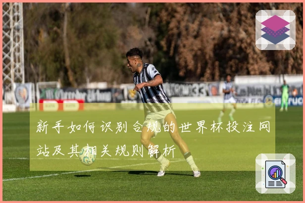 新手如何识别合规的世界杯投注网站及其相关规则解析