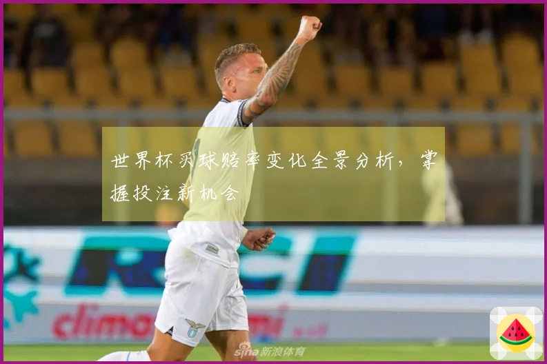 世界杯买球赔率变化全景分析，掌握投注新机会