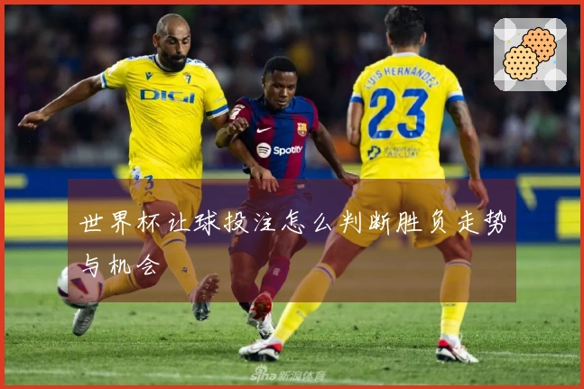 世界杯让球投注怎么判断胜负走势与机会