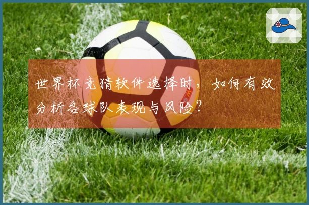 世界杯竞猜软件选择时，如何有效分析各球队表现与风险？