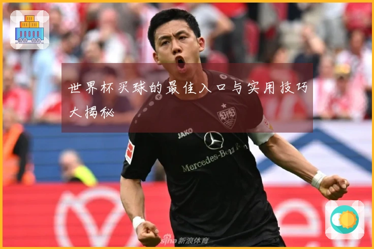 世界杯买球的最佳入口与实用技巧大揭秘