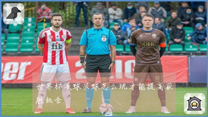 世界杯滚球买球怎么玩才能提高获胜机会