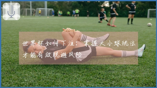世界杯如何下注：掌握大小球玩法才能有效规避风险