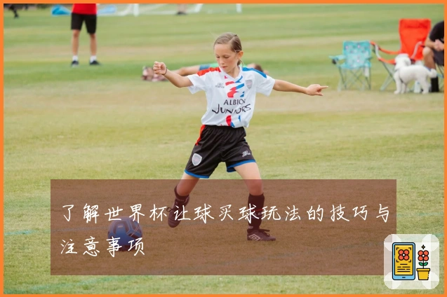 了解世界杯让球买球玩法的技巧与注意事项