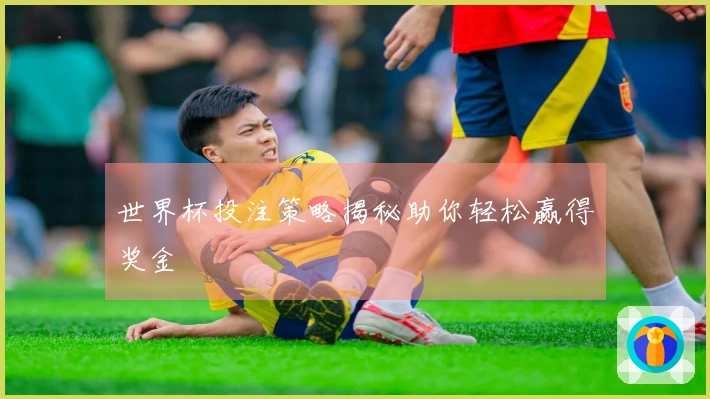 世界杯投注策略揭秘助你轻松赢得奖金