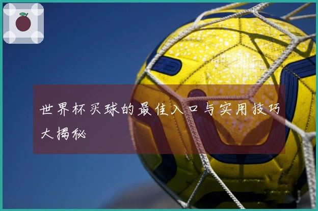 世界杯买球的最佳入口与实用技巧大揭秘