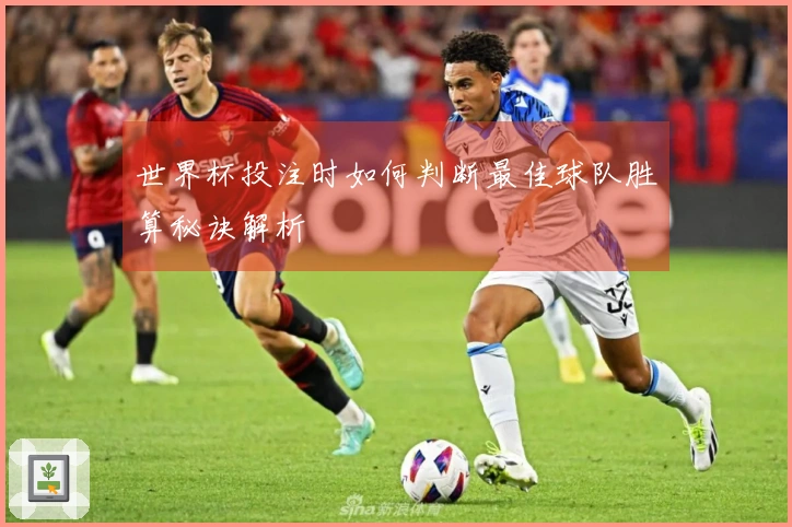 世界杯投注时如何判断最佳球队胜算秘诀解析