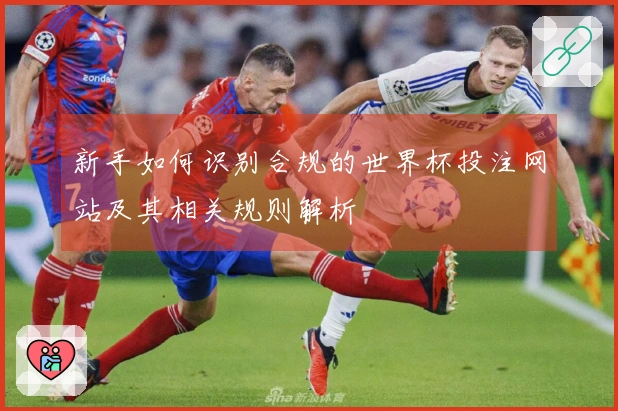 新手如何识别合规的世界杯投注网站及其相关规则解析