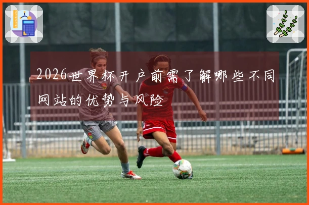 2026世界杯开户前需了解哪些不同网站的优势与风险