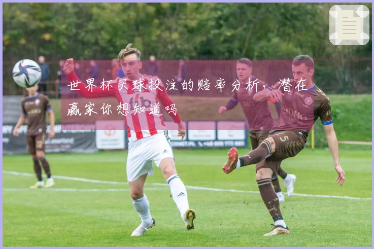 世界杯买球投注的赔率分析，潜在赢家你想知道吗