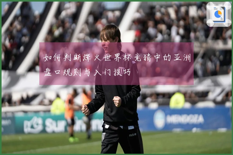 如何判断烽火世界杯竞猜中的亚洲盘口规则与入门技巧