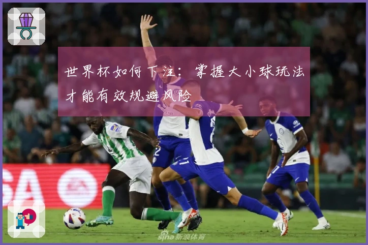 世界杯如何下注：掌握大小球玩法才能有效规避风险