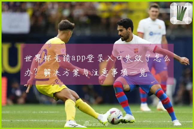 世界杯竞猜app登录入口失效了怎么办？解决方案与注意事项一览